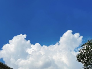 800F1EDE-5105-44F3-8C03-D4D83DFACFAC/L0/001