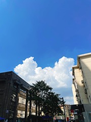 156588E3-4E4C-48D5-817B-8A0B0095D63A/L0/001