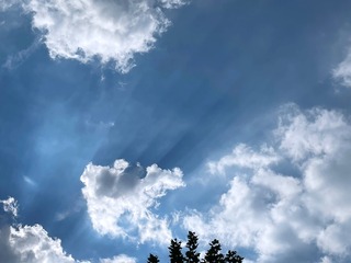 09201814-48AD-4B2A-99BE-3736404E6F6A/L0/001