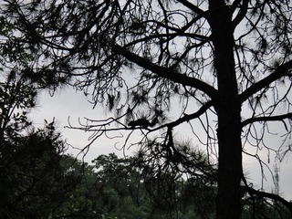 1FA5B86C-5DD9-4AED-97B5-2C7F64CE8BCD/L0/001