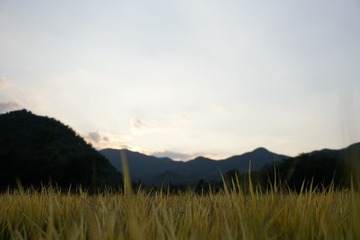 62FB3C05-9CB8-46B0-A8FD-FB6F567D246D/L0/001