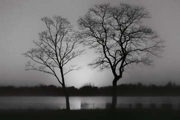 B0D10228-8432-47A0-A03F-92D29C01C69E/L0/001