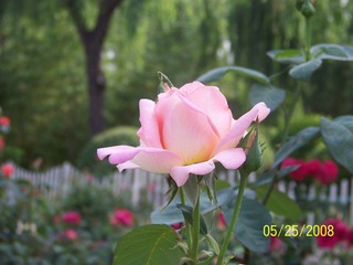 照片 020.jpg