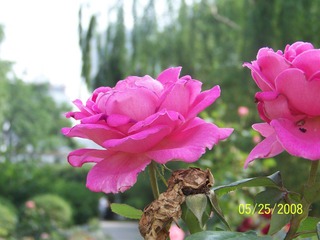照片 022.jpg