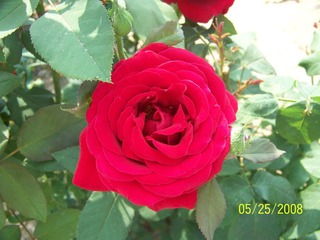 照片 027.jpg