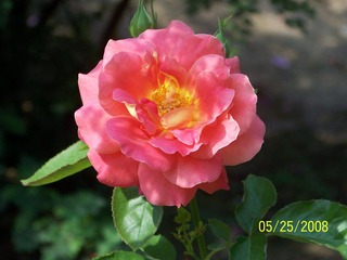 照片 040.jpg
