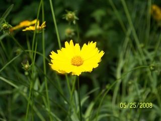照片 052.jpg