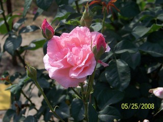 照片 041.jpg