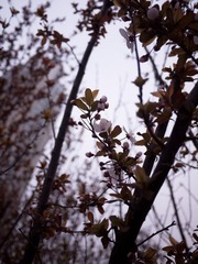 P1010667.jpg