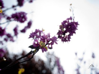 P1010693.jpg
