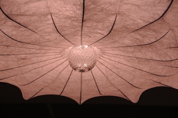 DSC_0996.JPG