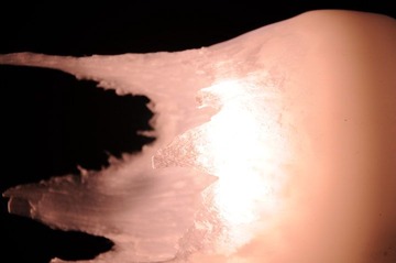 DSC_1074.JPG