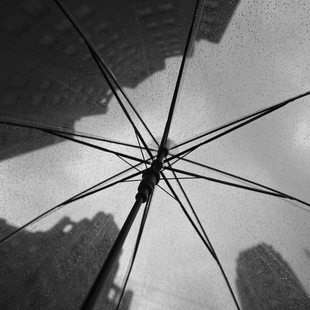 【被雨淋湿的城市】在被雨水淋湿的城市里，茕茕孑立；<br />
在被雨水淋湿的身体里，承受安稳。 地点：上海福州大楼
