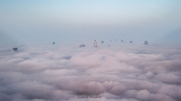 _DSC4413