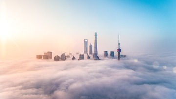 _DSC4431d