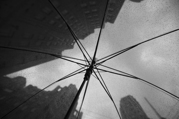 _DSC6512