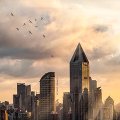 _DSC0694