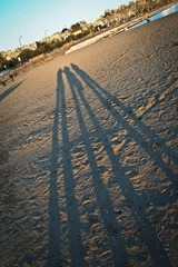 IMG_2376.jpg
