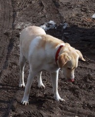 IMG_9753.jpg