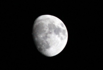 IMG_9549.jpg