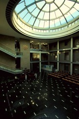 IMG_7184b.jpg