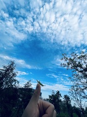 8E71DE2F-B8CB-4076-9D6E-83E5CF2EF036/L0/001