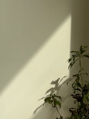 BD901484-E0D9-49A0-B607-2D6186537FA8/L0/001