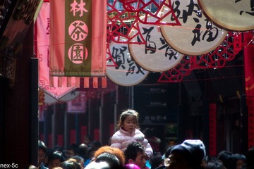 DSC01822-1.jpg