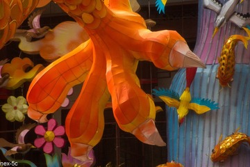 DSC01858-3.jpg