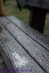 DSC00479-1.jpg