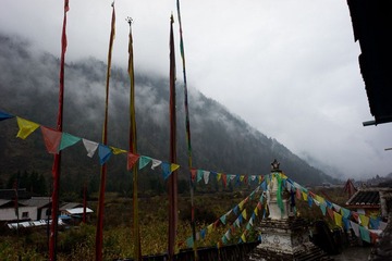 DSC05163.jpg