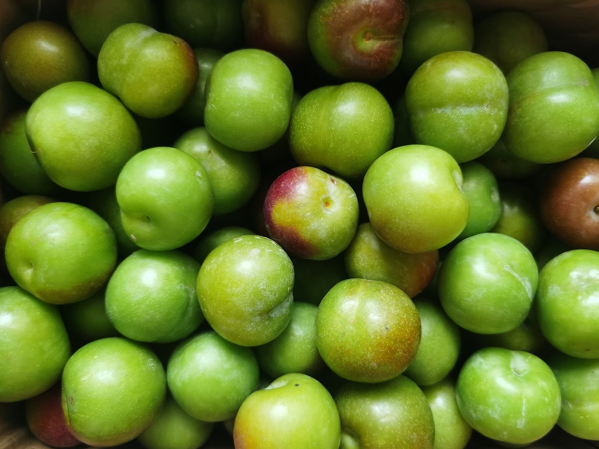 满满当当的一盒可爱的小李子