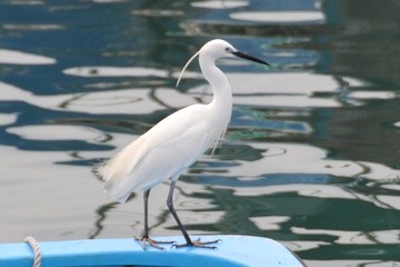 DSC_1303.JPG