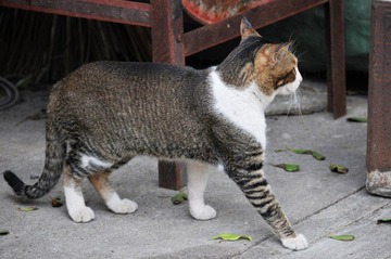 DSC_1157.JPG