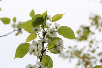 IMG_4503.jpeg