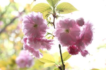 IMG_4571.jpeg