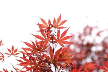 IMG_4877.jpeg
