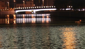 IMG_9526.JPG