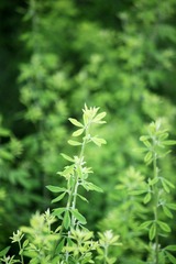 IMG_9920.JPG