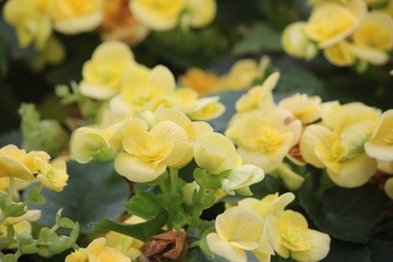 IMG_9939.JPG