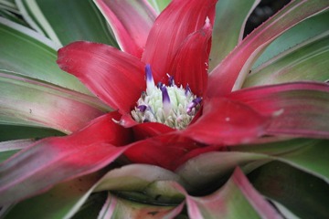 IMG_9970.JPG