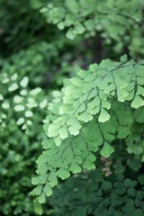 IMG_9972.JPG