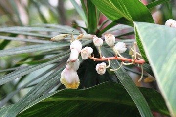 IMG_9986.JPG