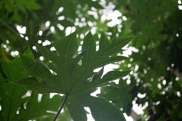 IMG_9991.JPG