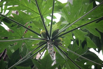 IMG_9992.JPG