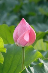 IMG_0904.JPG