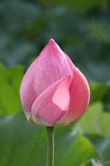 IMG_0912.JPG