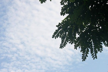 IMG_0962.JPG