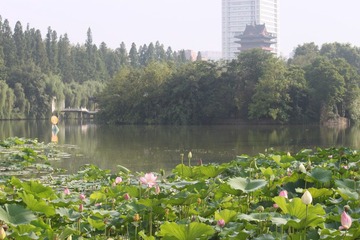 IMG_0988.JPG