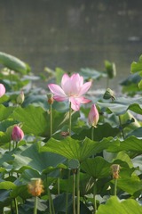 IMG_0994.JPG